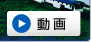 動画を見る