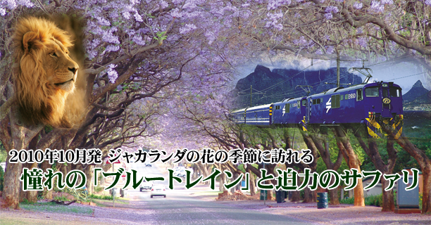 2010年10月発　ジャカランダの花の季節に訪れる 憧れの「ブルートレイン」と迫力のサファリ