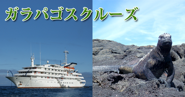 神秘の島 ガラパゴス諸島 6月6日(土)特別説明会開催いたします