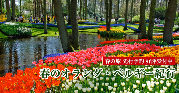 2010年春の旅 先行予約 好評受付中 春のオランダ・ベルギー紀行