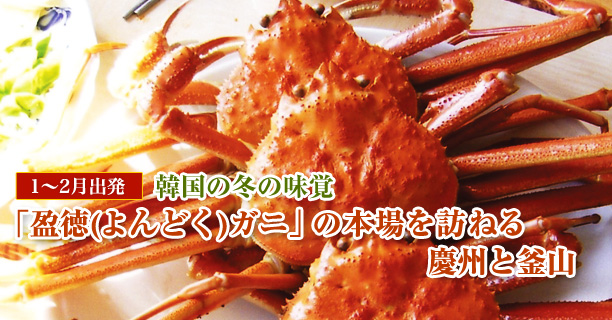 2010年1〜2月出発 韓国の冬の味覚「盈徳(よんどく)ガニ」の本場を訪ねる　慶州と釜山