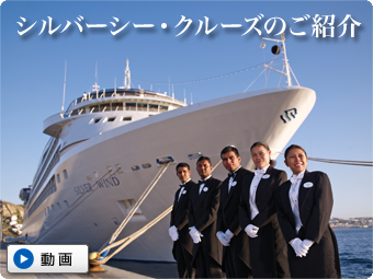 シルバーシーシャのご紹介