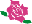 バラ