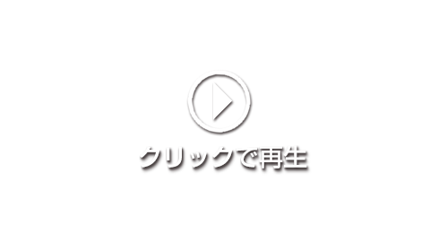 動画を再生