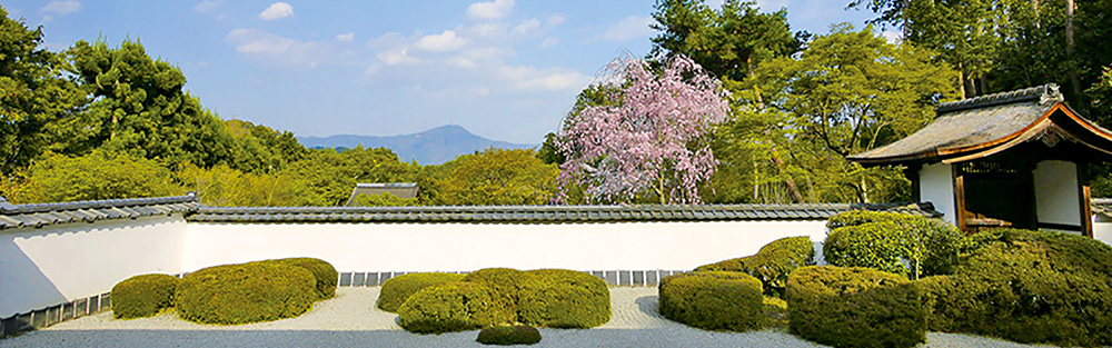 グローバル 日本の旅 - 旅のこだわり