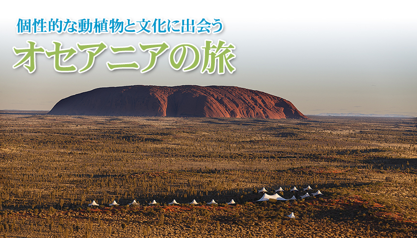 個性的な動植物と文化に出会う オセアニアの旅