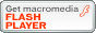 Flash Player ̃_E[h
